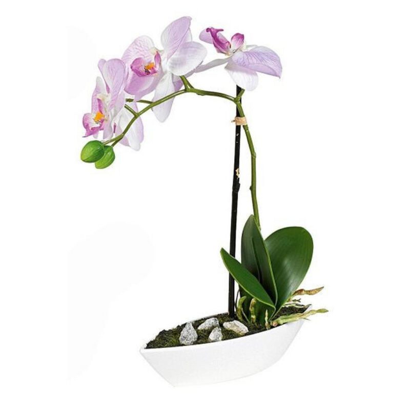 ORCHIDEJ orchidej 28