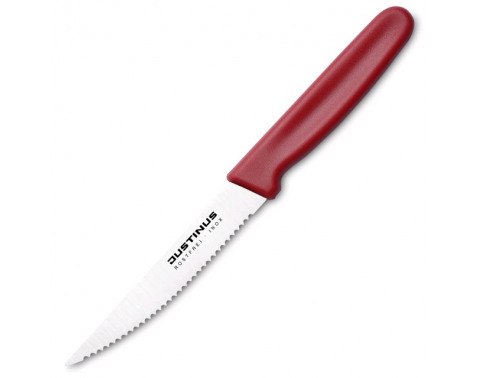 Nůž na steak FineCut 11