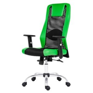 Kancelářská židle HARDING černá/zelená