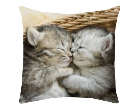 Dekorační polštářek Spící koťata