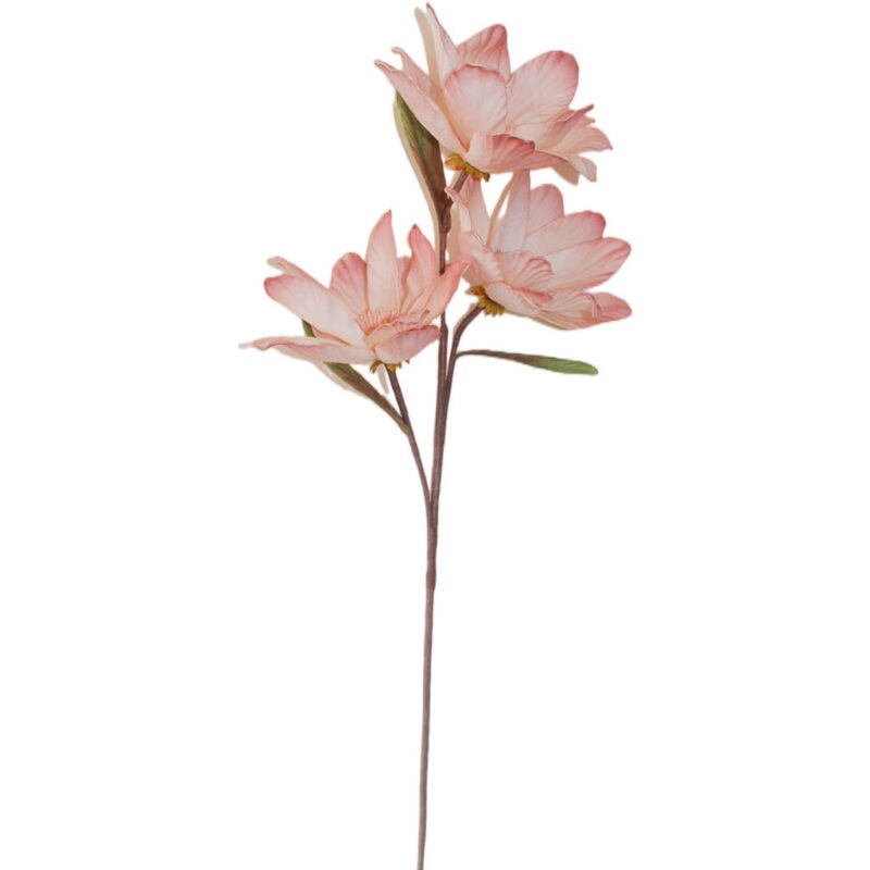 Ambia Home UMĚLÁ KVĚTINA magnolie